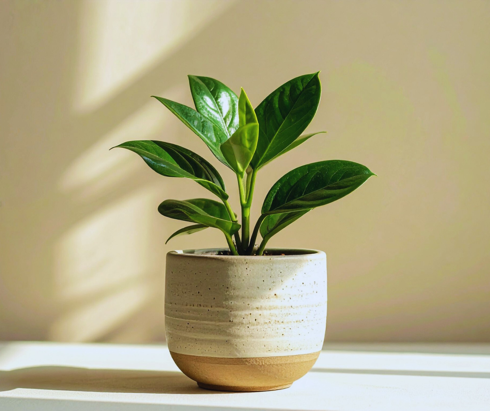 Jarní swap + workshop