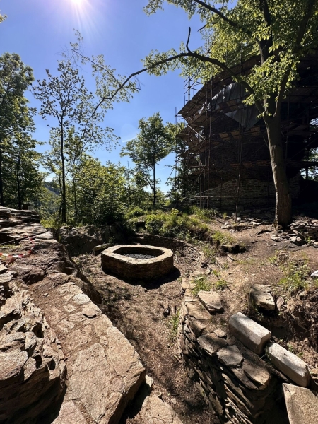 Image 6